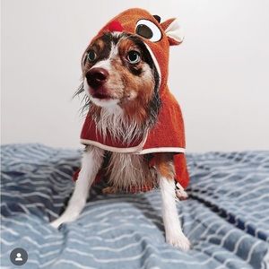BARK Dog Rudolph Bathrobe